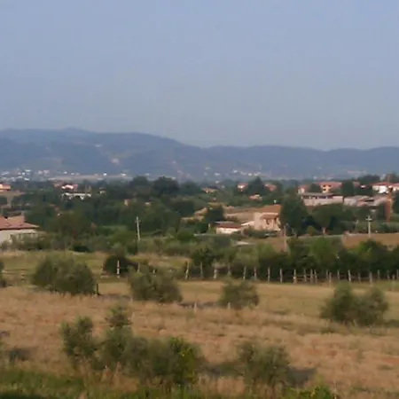 公寓 Montecchio Di *